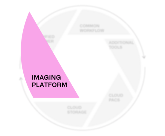ILLO-Merge-Web-EI-002